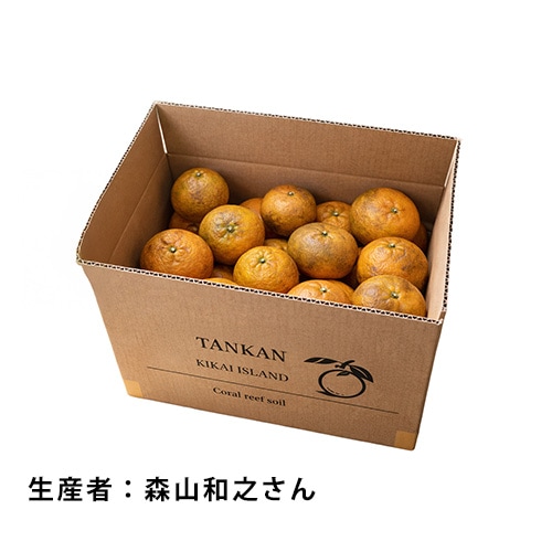 喜界島完熟たんかん【家庭用(良品相当含む)】<5k箱入り>【生産者：森山和之さん】