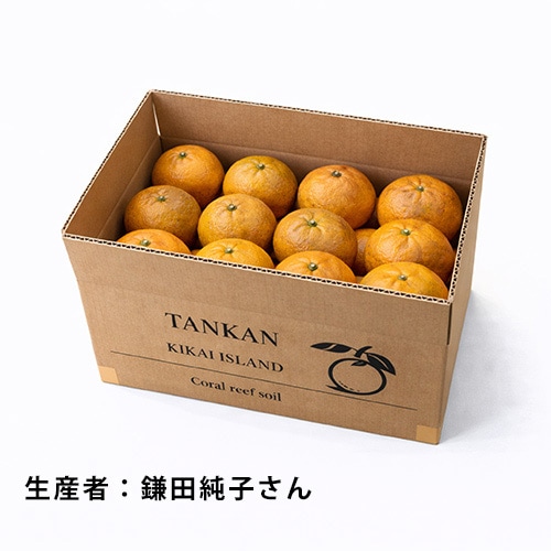 喜界島完熟たんかん【優品】<5k箱入り>【生産者：鎌田純子さん】