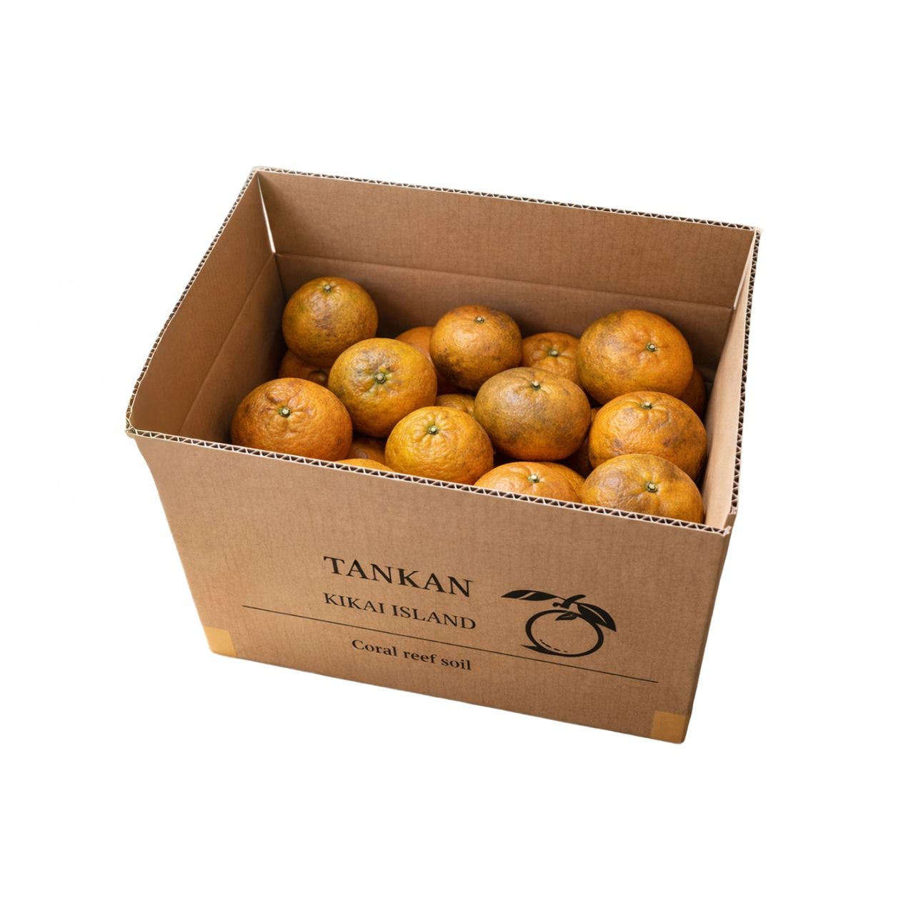 喜界島完熟たんかん【家庭用(良品相当含む)】<5k箱入り>【生産者：森山光博さん】