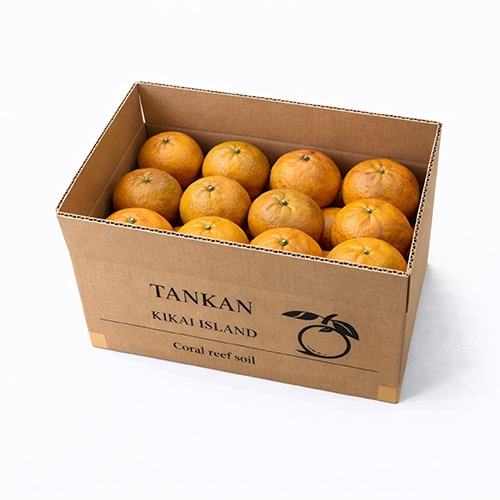 喜界島完熟たんかん【優品】<5k箱入り>【生産者：森山光博さん】