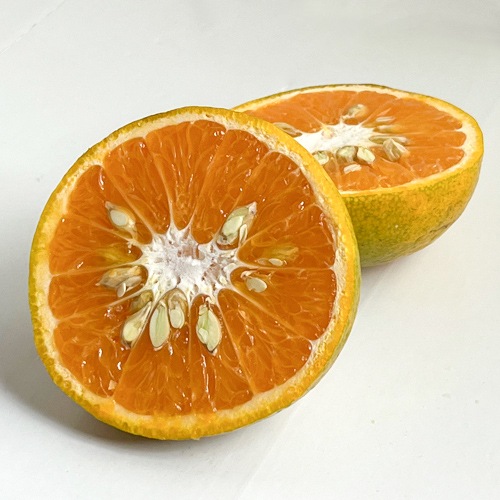 九年母（クネンボ）＜ご家庭用＞(約１ｋｇ)
