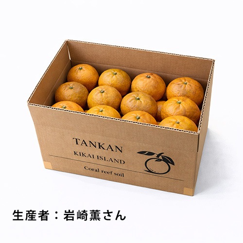 喜界島完熟たんかん【優品】<5k箱入り>【生産者：岩崎薫さん】
