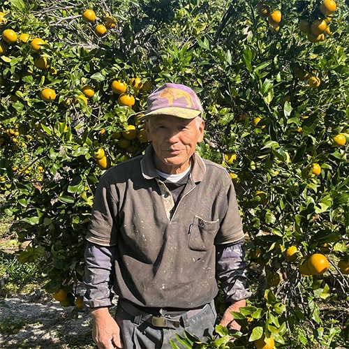 喜界島完熟たんかん【優品】<5k箱入り>【生産者：岩崎薫さん】