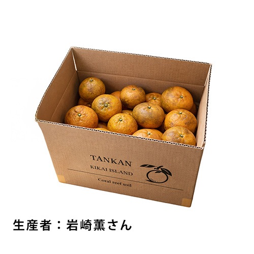 喜界島完熟たんかん【家庭用(良品相当含む)】<5k箱入り>【生産者：岩崎薫さん】
