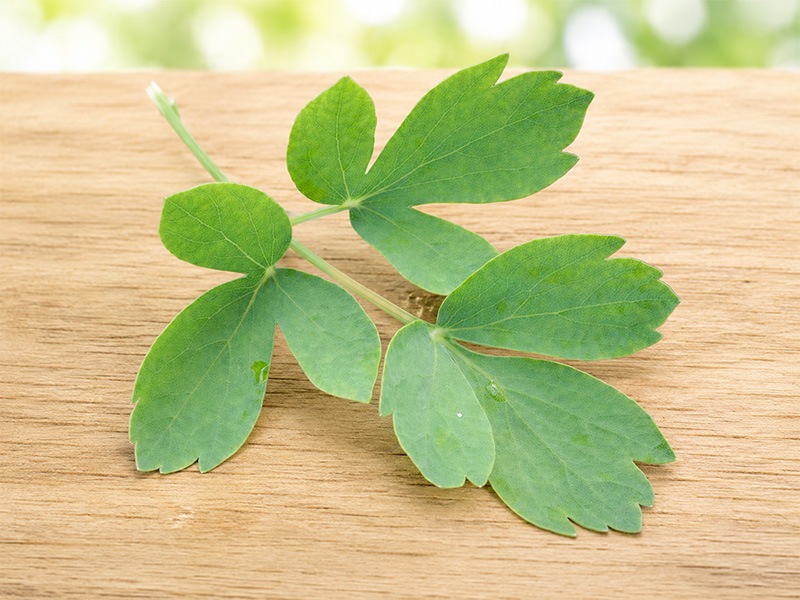 長命草ナイシスリム【喜界島薬草農園】[メール便]