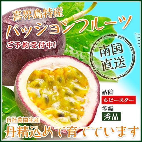 ［秀品］パッションフルーツ［ルビースター］[箱入り]（約1キロ＜12玉＞）【自社生産】【送料無料（一部地域を除く）】