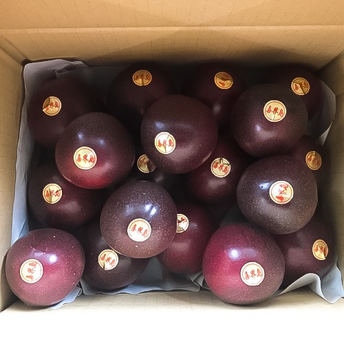 ［家庭用(訳あり)］パッションフルーツ［サマークイーン］[ダンボール箱入り]（約1.5キロ＜13～21個入り＞）【自社生産】【送料無料（一部地域を除く）】