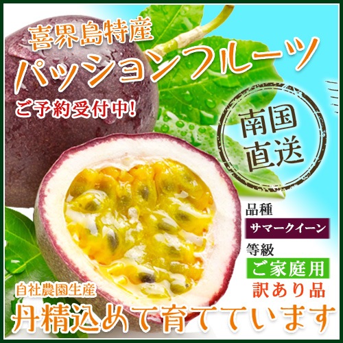 家庭用(訳あり)］パッションフルーツ［サマークイーン