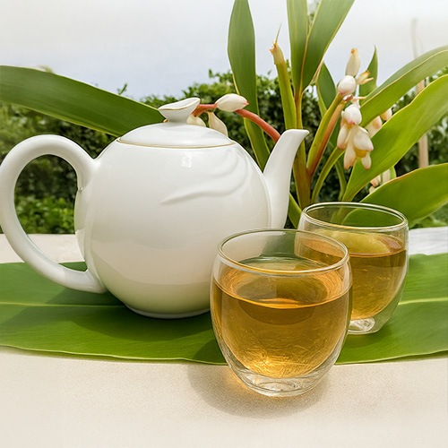 ミネラル野草茶　月桃　【藤園】[メール便]