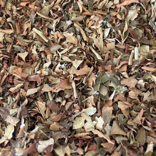 ミネラル野草茶　オオイタビ　【藤園】＜レターパックプラス＞