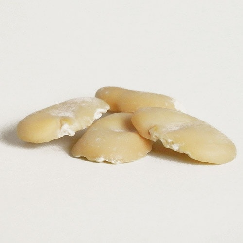 そらまめ 一寸そら豆 | 花＆グリーン 通販 | ホームセンターのカインズ