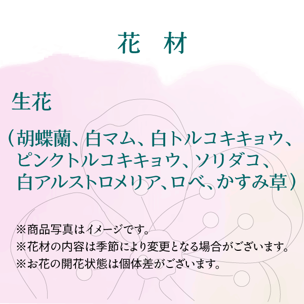 洋花供花C