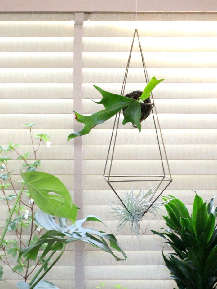 �ҥ���������ƥꥢ.3