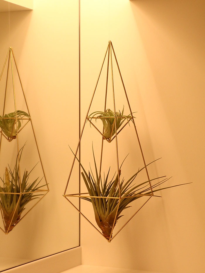 �ҥ���������ƥꥢ.3