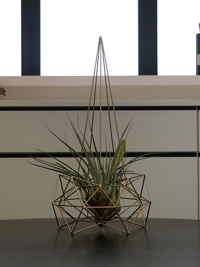 �ҥ���������ƥꥢ.5