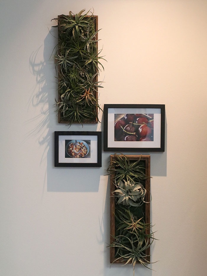 �����ץ����ѥ���ƥꥢ.1