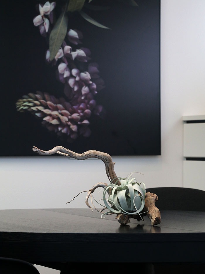 �����ץ����ѥ���ƥꥢ.3