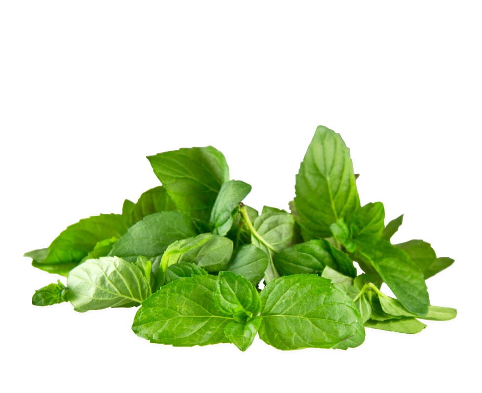 Itanse良品ｾﾚｸﾄ通販