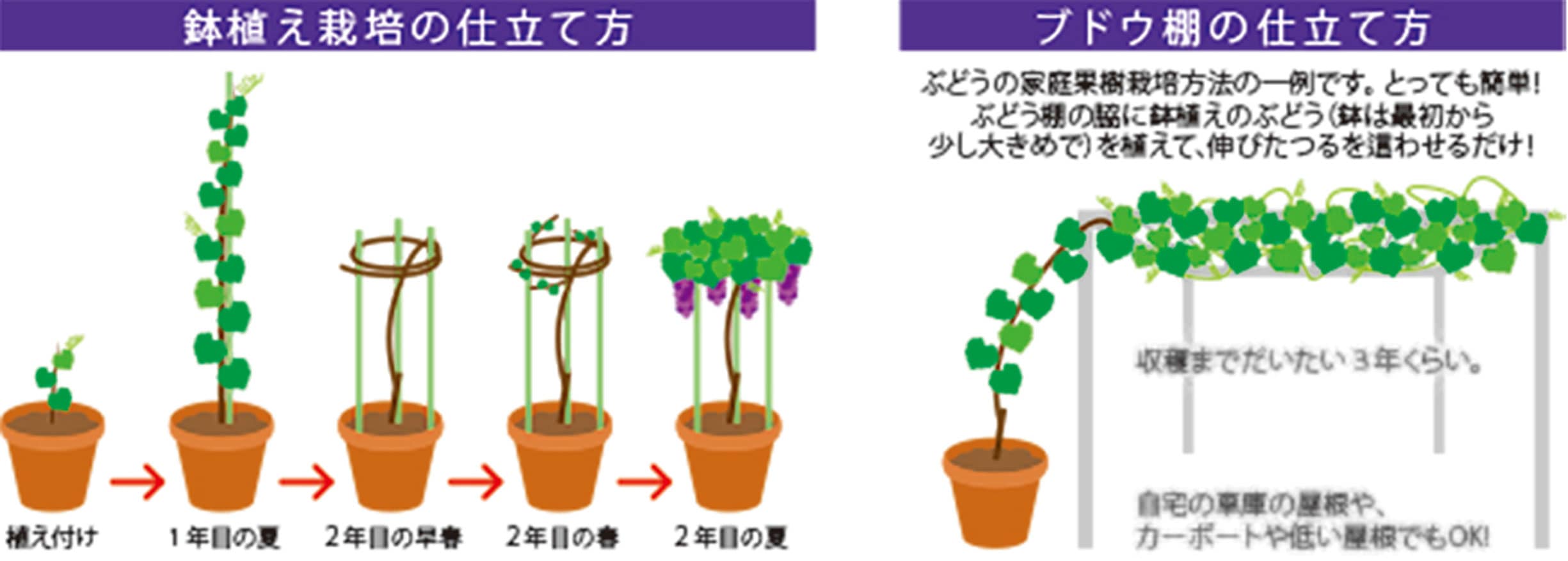 追加商品画像