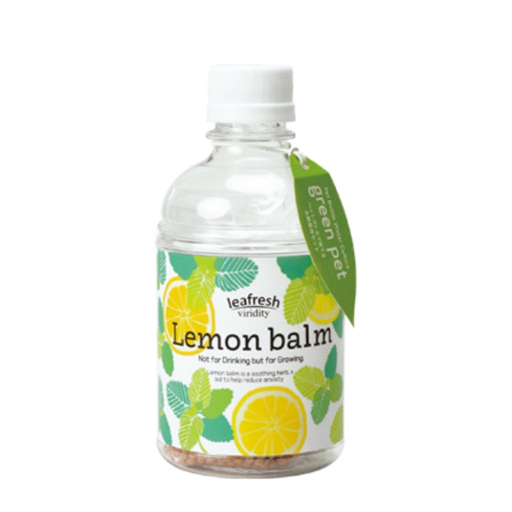 グリーンペット レモンバーム1個【窓辺で育てる水耕栽培セット】