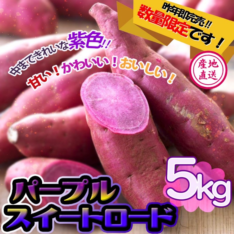 パープルスイートロード｜【植物のITANSE】全品送料無料・即出荷!