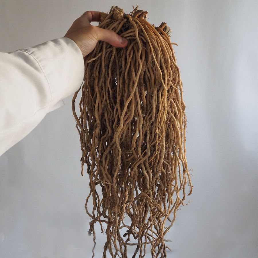 緑アスパラガス  裸株【サイズ選べます ちょいサイズ～ギガジャンボサイズ】