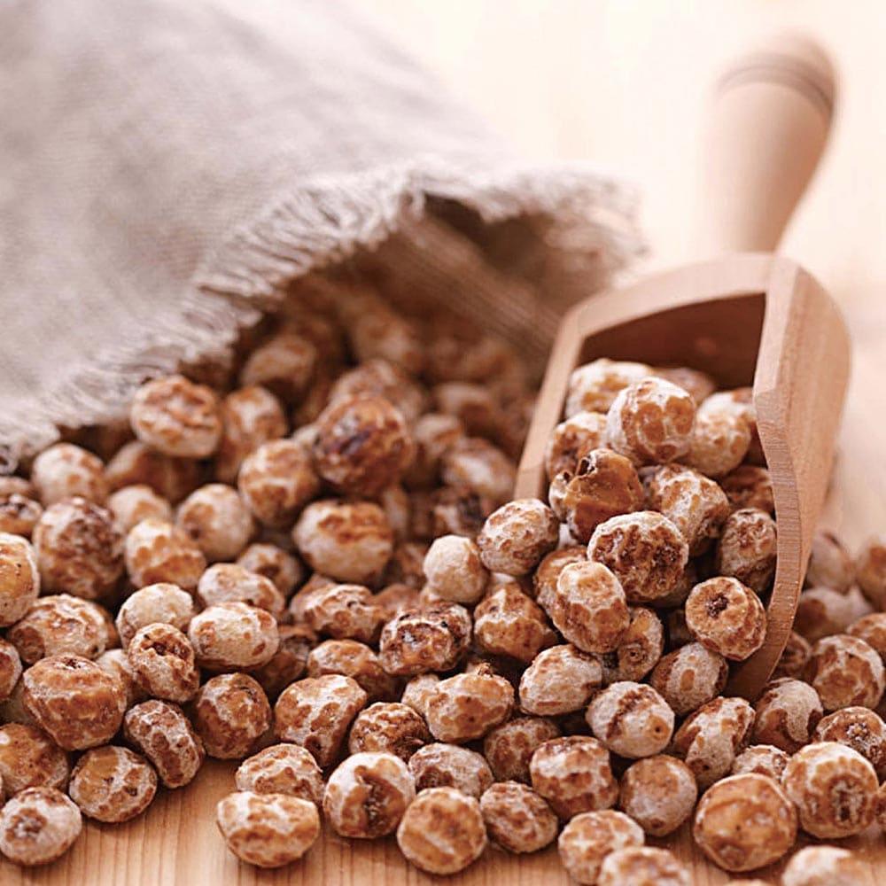 スーパーフード”タイガーナッツ”の苗【野菜苗10.5cmポット／お買い得2