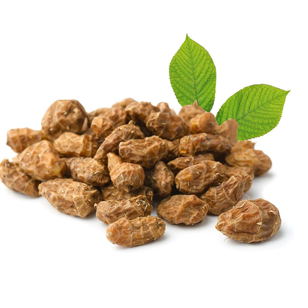 スーパーフード”タイガーナッツ”の苗【野菜苗10.5cmポット／お買い得2個セット】