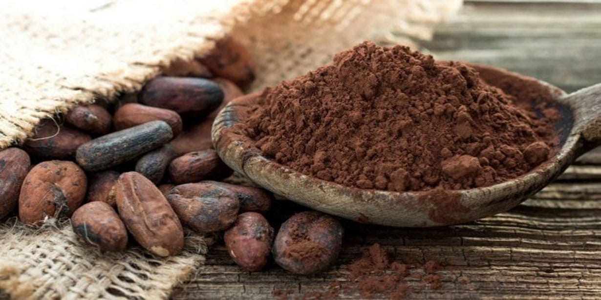 カカオの木の苗木 10.5cmポット苗 お買い得2個セット」耐寒性は