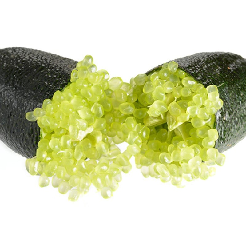 フィンガーライム｜【植物のITANSE】全品送料無料・即出荷!