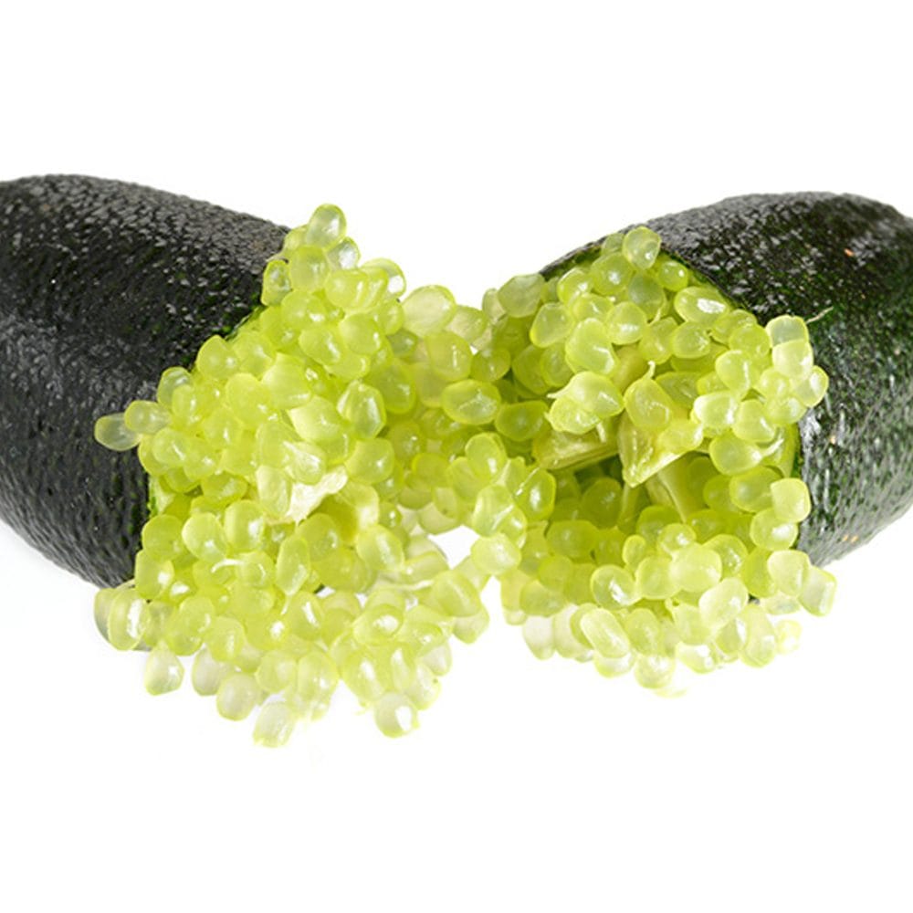 フィンガーライム グリーン9cmポット苗(挿し木苗)／お買い得2個セット【果樹 二年生挿し木苗】