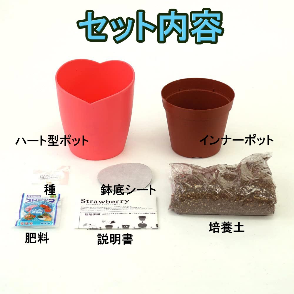ピンクの花咲くストロベリー栽培セット【栽培キット／1個