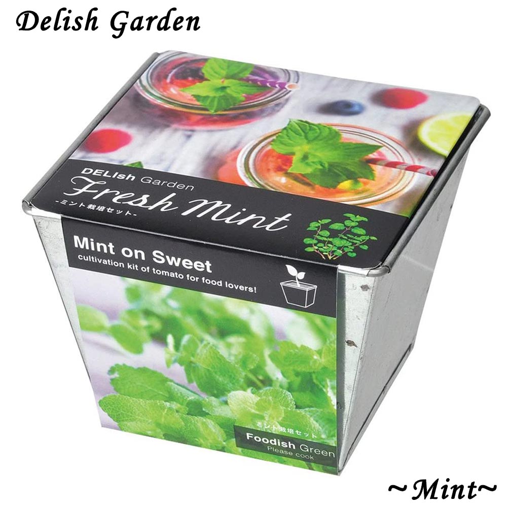デリッシュガーデン ミント【栽培キット／1個】