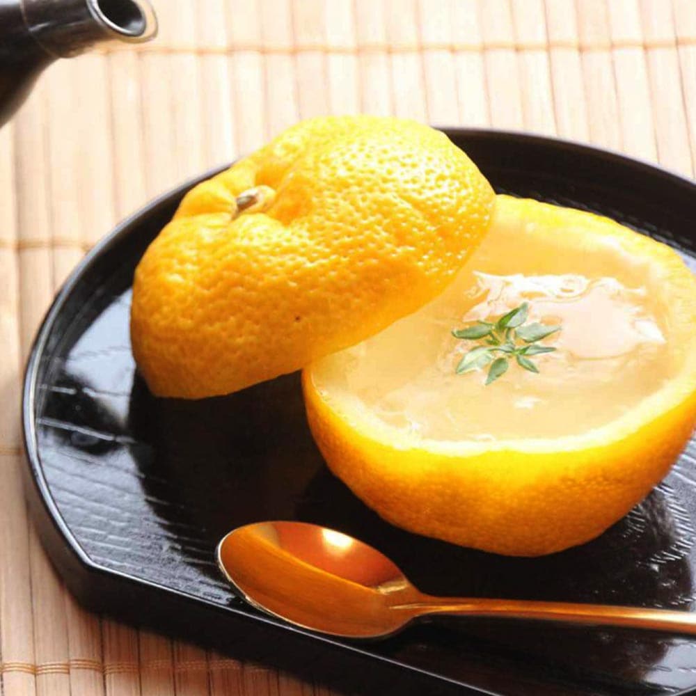 本ゆずの苗木【果樹苗 3年生 接木苗21cmポット／1個】｜ 【植物の