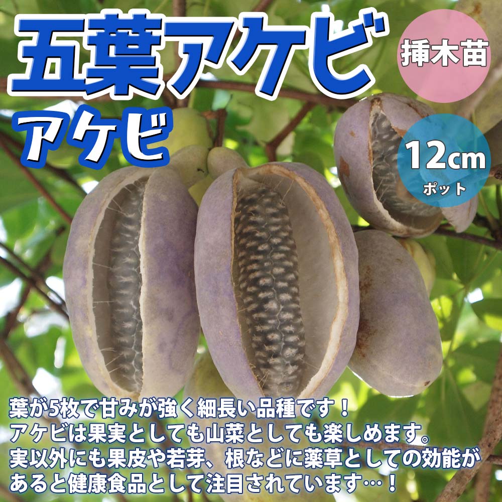 Itanse良品セレクト通販 Itanse良品セレクト通販
