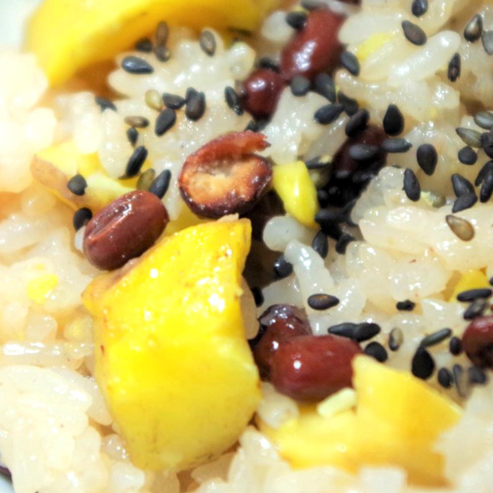 栗の苗木 銀寄【果樹苗 2年生 接木苗15cmポット／1個】｜ 【植物