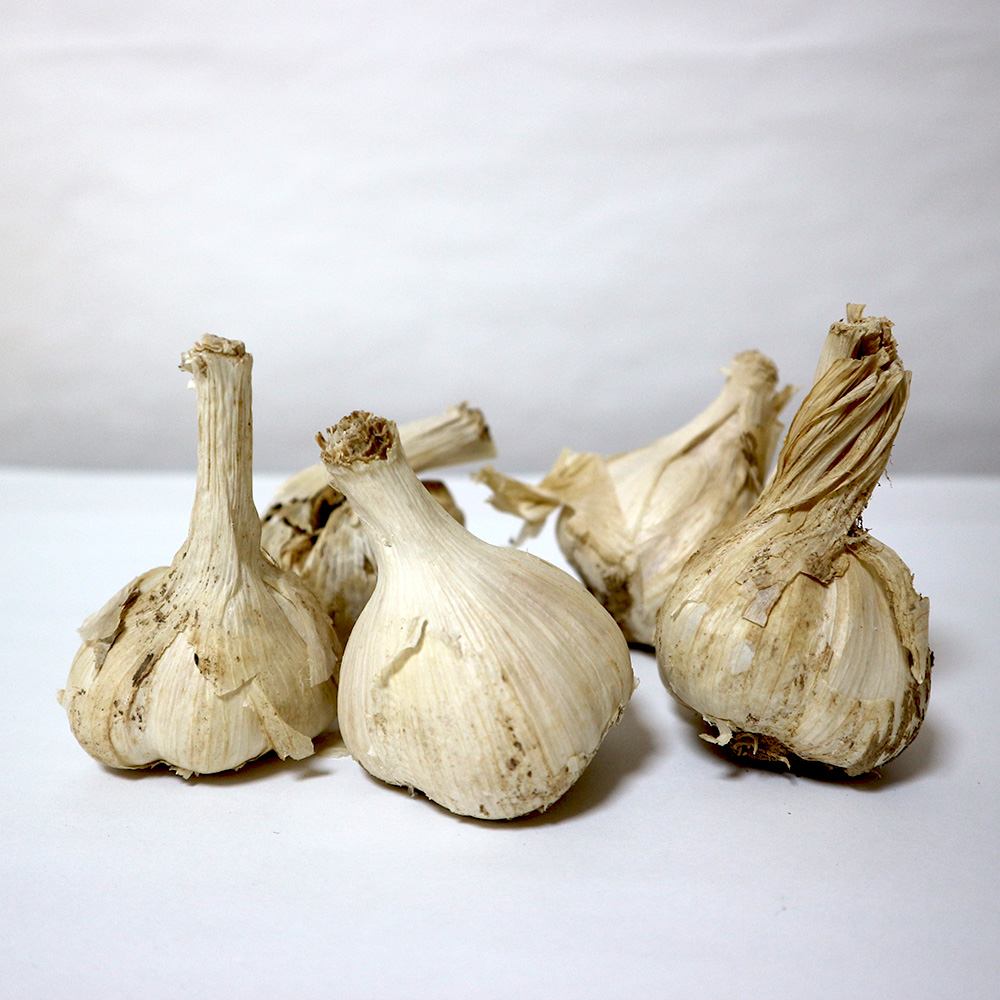 ホワイト六片にんにく 種球根【野菜球根 裸球5球セット】