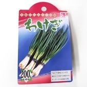 分葱(わけぎ) 種球根【ネット詰め野菜球根 充填時200g／1袋】|球根類