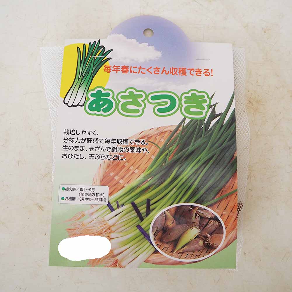 分葱(わけぎ) 種球根【ネット詰め野菜球根 充填時180g／1袋】｜ 【植物