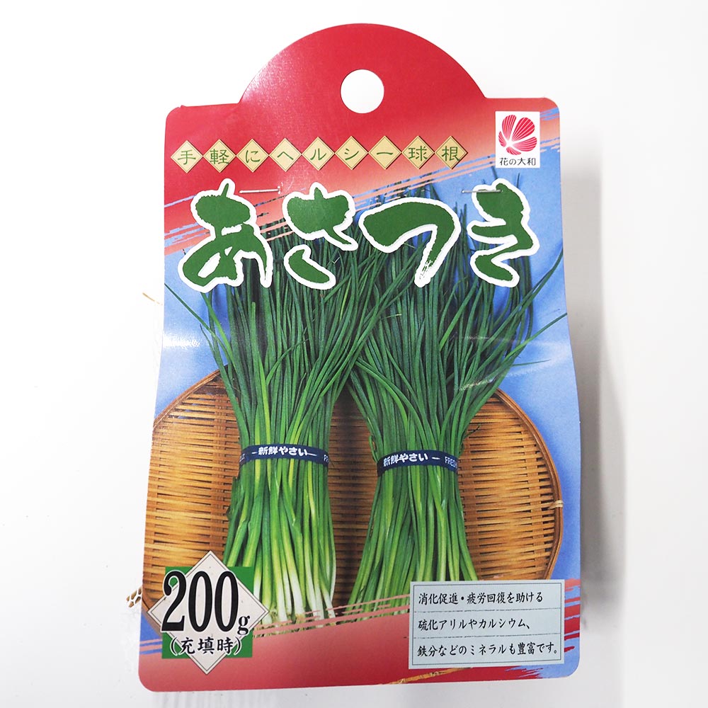 あさつき 種球根【ネット詰め野菜球根 充填時200g／1袋】