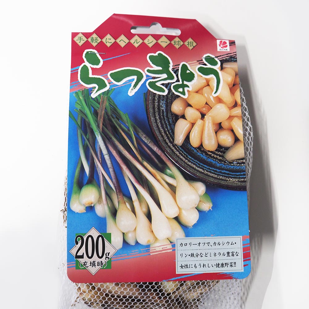 種らっきょう　球根　箱込み２０キロ発送 楽天市場】らっきょう 種 球根 200g 植え付け約10箇所分 茨城