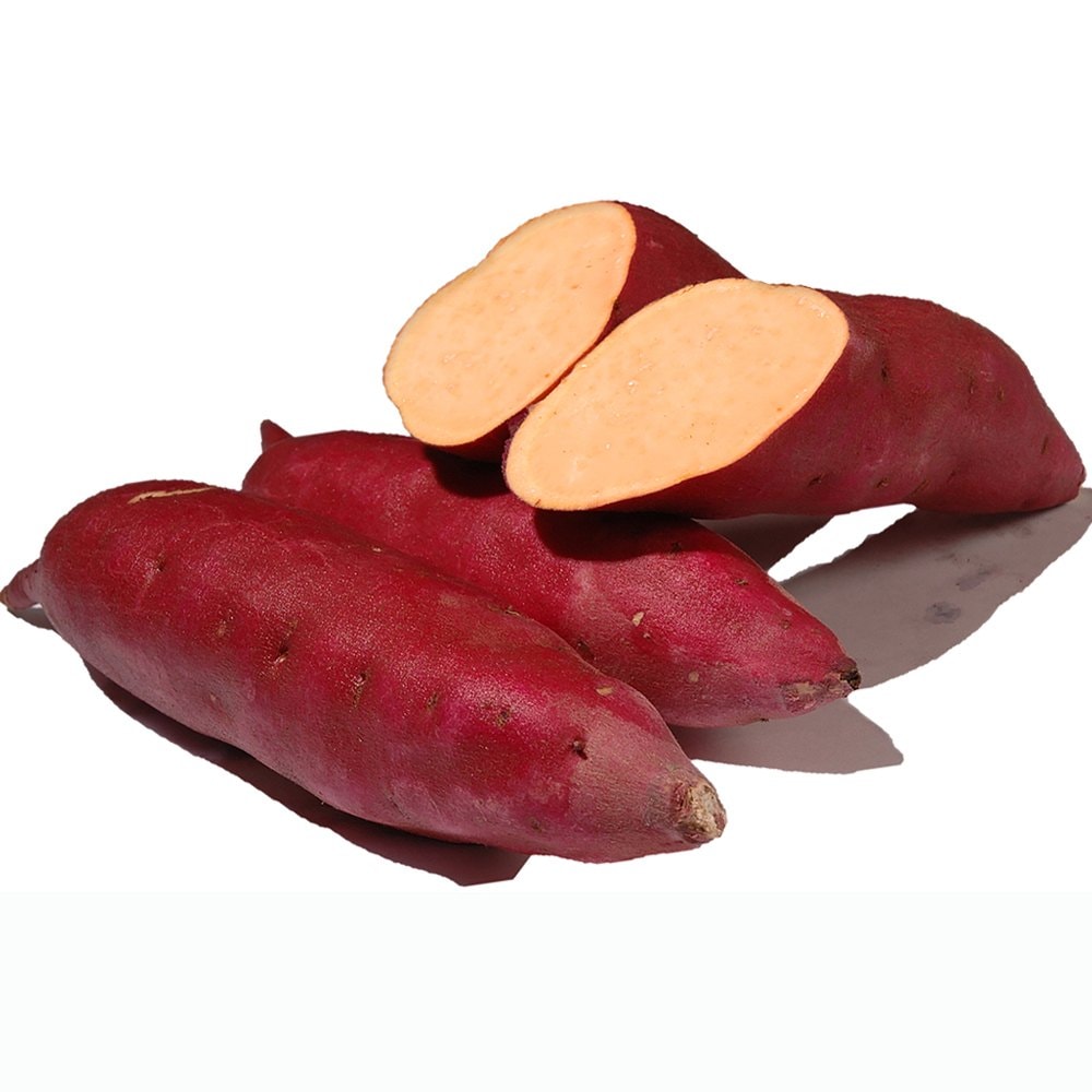 訳有り ハロウィンスイート Sサイズ 5kg【岡山県産 希少 さつまいも 2020 秋 新芋 土付き お買い得】