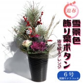 お正月飾り 迎春雪景色アレンジ【花苗 6号／1個売り】|植木・花木