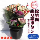 お正月飾り 迎春松竹梅アレンジ【花苗 6号／1個売り】|植木・花木