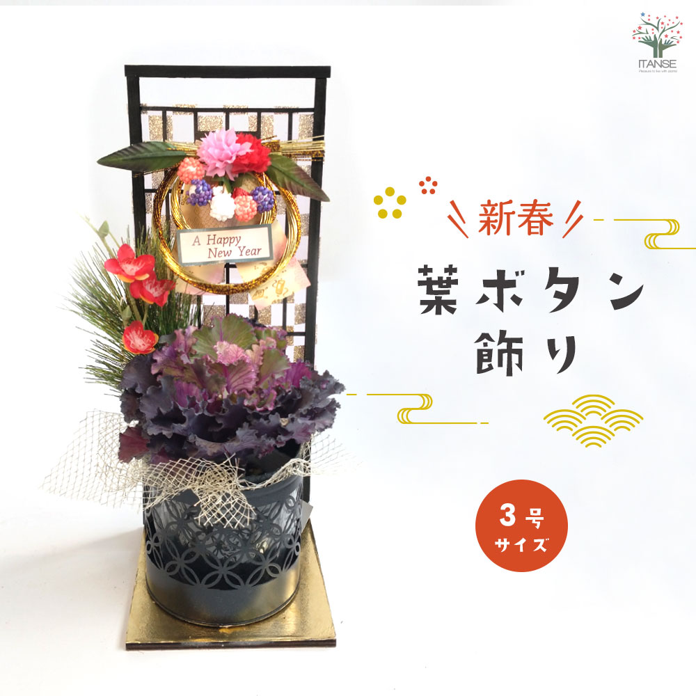 お正月飾り 迎春しめ飾りアレンジ【花苗 3号／1個売り】