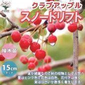 スノードリフト クラブアップル【庭木 5号接木苗 接木苗／1個売り】|植木・花木