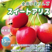 スイートアリス 食用小実リンゴ【庭木 5号接木苗 接木苗／1個売り】|植木・花木