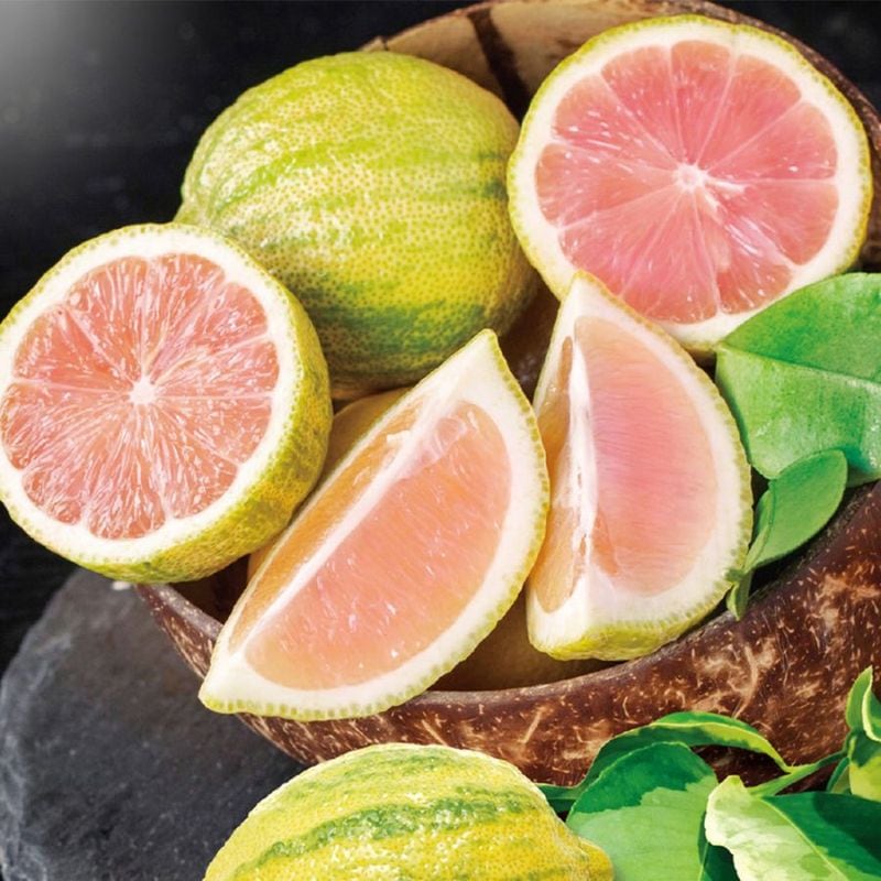 レモン スイートレモネード【果樹苗 9cmポット苗／2個セット