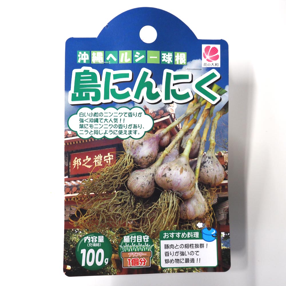 にんにく種球根 島にんにく【野菜の苗 ネット詰め野菜球根 充填時100g／1袋／1個売り】