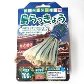 らっきょう種球根 島らっきょう【野菜の苗 ネット詰め野菜球根 充填時120g／1袋／1個売り】|球根類